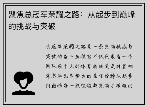 聚焦总冠军荣耀之路：从起步到巅峰的挑战与突破