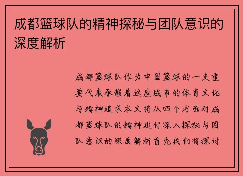 成都篮球队的精神探秘与团队意识的深度解析