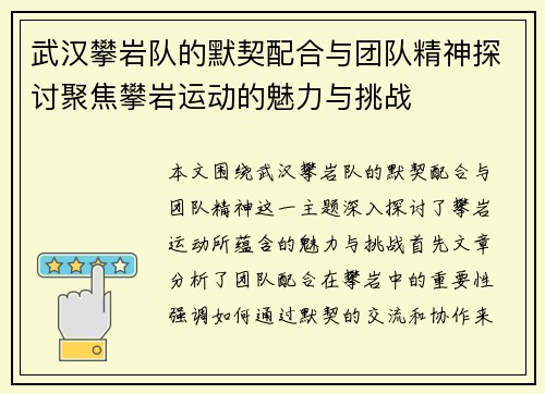 武汉攀岩队的默契配合与团队精神探讨聚焦攀岩运动的魅力与挑战
